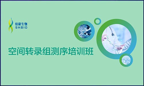 開班啦 | 伯豪生物空間轉(zhuǎn)錄組測序培訓班