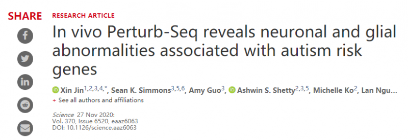 體內(nèi) Perturb-Seq 揭示與自閉癥風險基因相關(guān)的神經(jīng)元和神經(jīng)膠質(zhì)異常