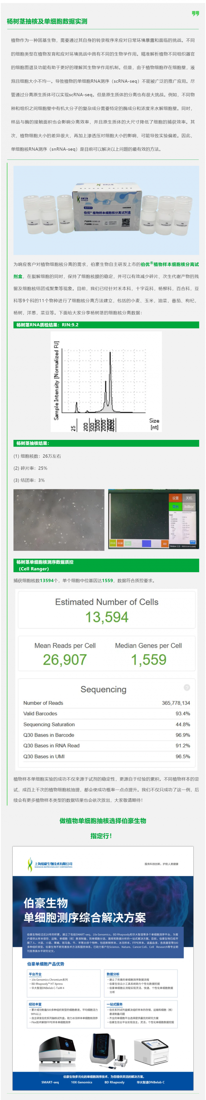 植物抽核哪家強(qiáng)！伯優(yōu)試劑來(lái)幫忙！楊樹(shù)莖抽核及單細(xì)胞數(shù)據(jù)實(shí)測(cè)