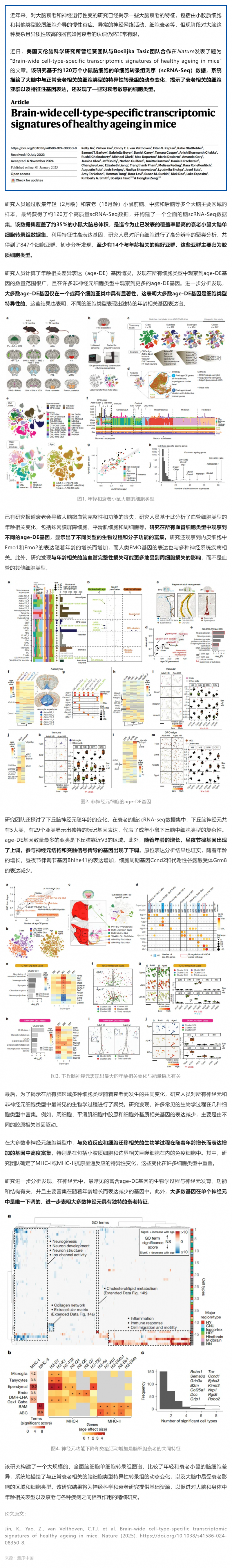 Nature _ 迄今覆蓋率最高的衰老小鼠大腦單細(xì)胞轉(zhuǎn)錄組圖譜，系統(tǒng)解析衰老相關(guān)細(xì)胞類(lèi)型及特異性轉(zhuǎn)錄