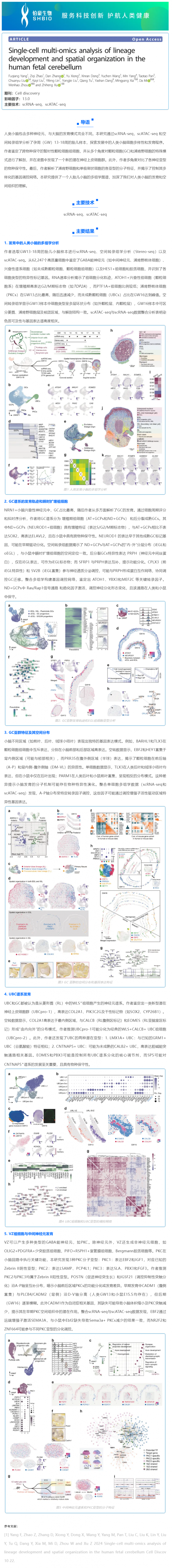 華大 DNBelab C 系列 _ 單細胞多組學解析人胎兒小腦神經(jīng)細胞發(fā)育和空間結構