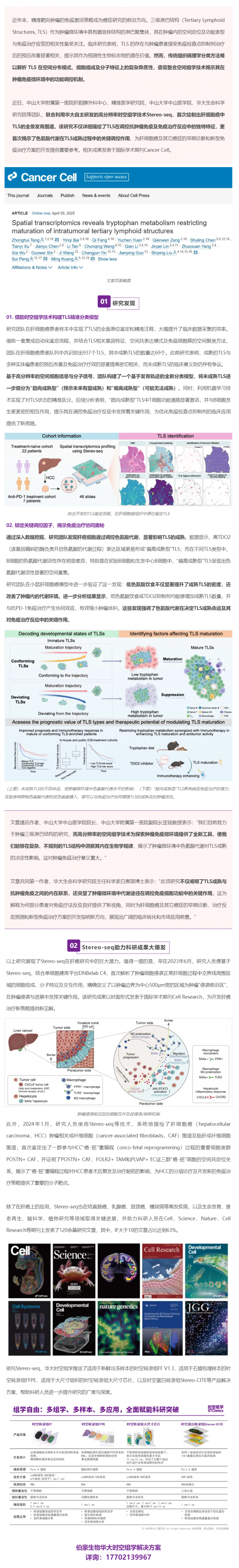 Cancer Cell _ 首個肝細胞癌中 TLS 的全景發育圖譜！Stereo-seq 助力肝癌研究再獲